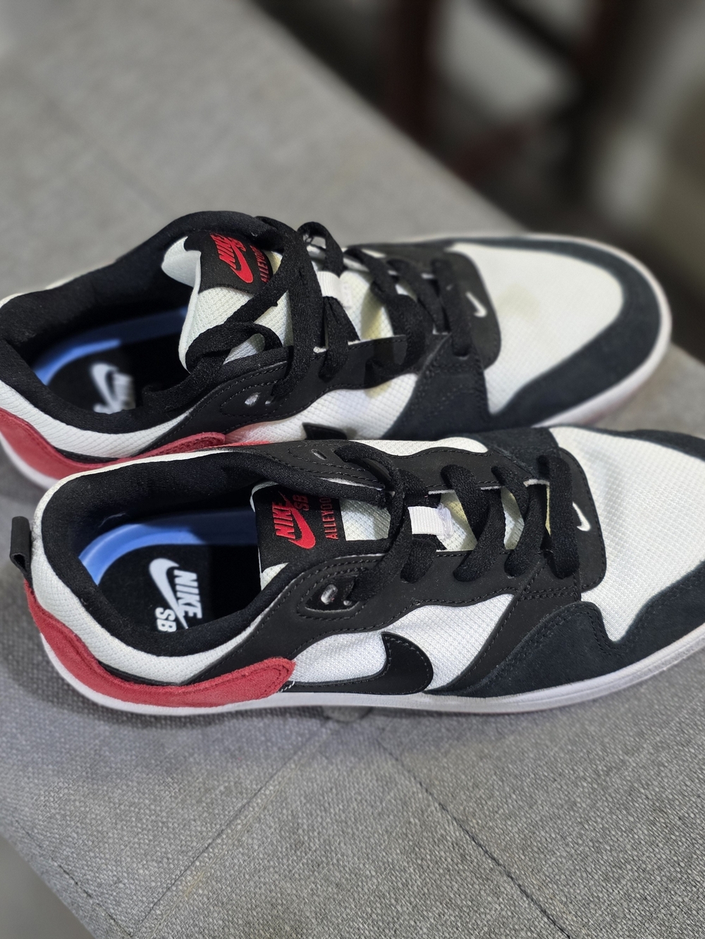 Nike SB Men’s Black White Red Skate Shoes